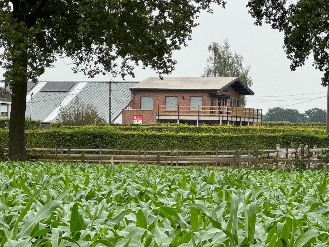 Welkomhoeve Grobbendonk Ngoại thất bức ảnh